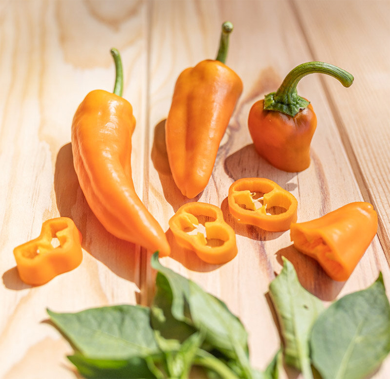 Paprika "Golden Treasure"